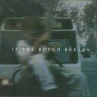 If The Bough Breaks by All Weather Human - album cover