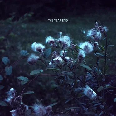 The Year End by The Year End - album cover