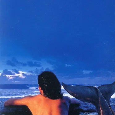 DOLPHINS’ WORLD by ACRI - album cover