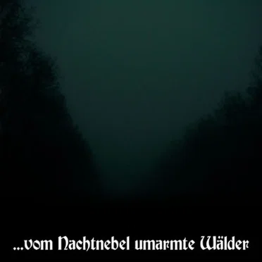 ...vom Nachtnebel umarmte Wälder