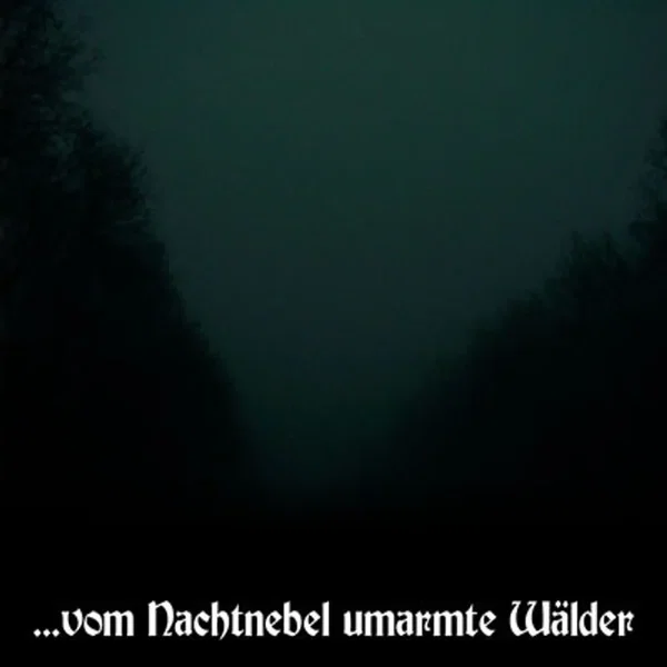 ...vom Nachtnebel umarmte Wälder