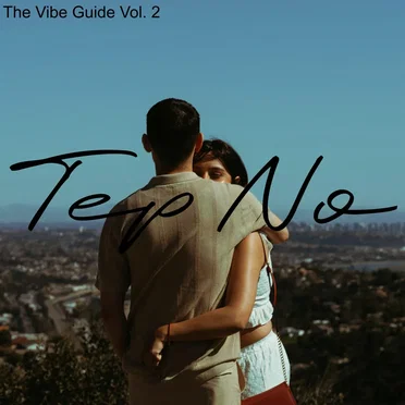 The Vibe Guide, Vol. 2