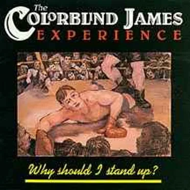 Why Should I Stand Up? by The Colorblind James Experience - album cover