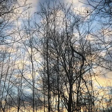 Distance of Light