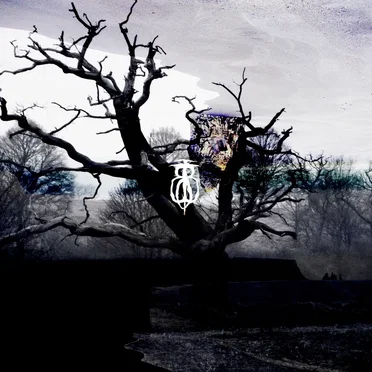 Here in the Wasteland, a Dead Tree Stands Guard. The Flowers No Longer Bloom, but the Stars Still Shine Bright at Night.