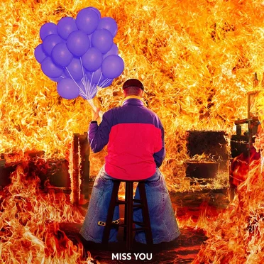 Miss You (Bozubuck remix)