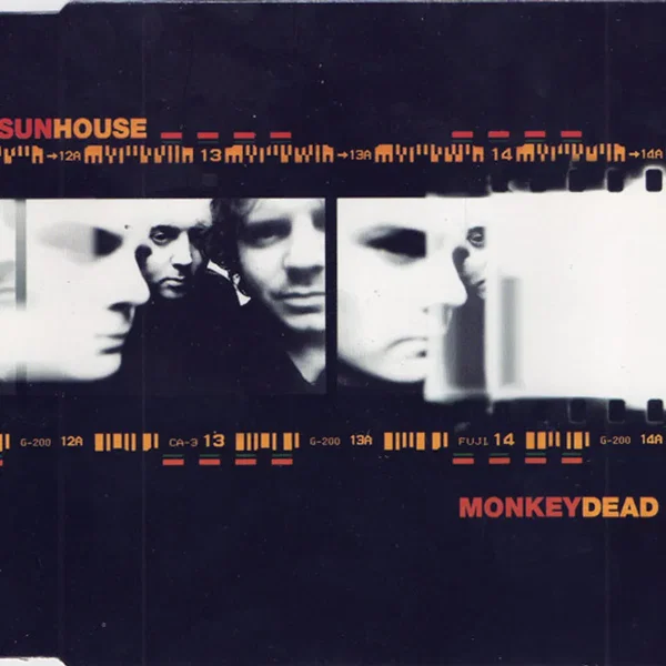 Monkey Dead