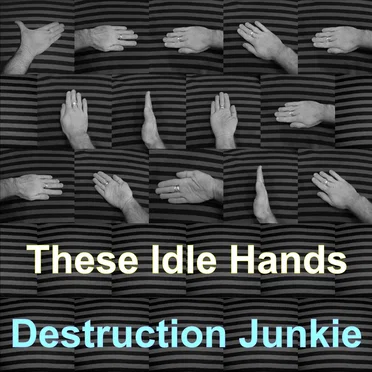 These Idle Hands by Destruction Junkie - album cover