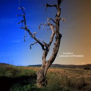 Jungian Epiphanies