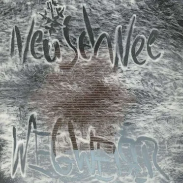 Wegweiser by Neuschnee - album cover