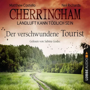 Der verschwundene Tourist by Matthew Costello - album cover
