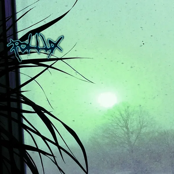 Never Hope the Zenith (2007-2011)