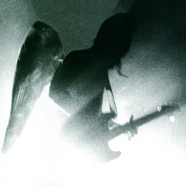 Vivants
