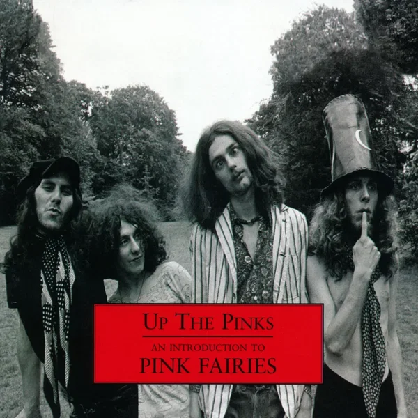 Up The Pinks: An Introduction to Pink Fairies