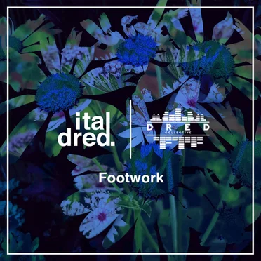 Italdred x Dred Collective - Footwork by Various Artists - album cover