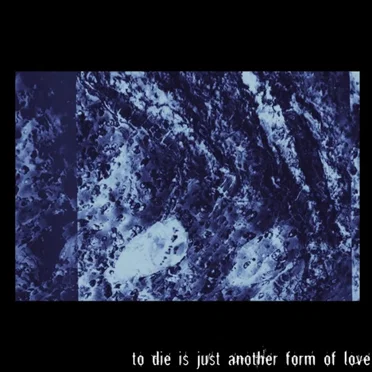 to die is just another form of love by oh daisy! - album cover