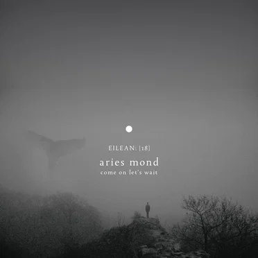 Come on Let’s Wait (eilean 18) by Aries Mond - album cover