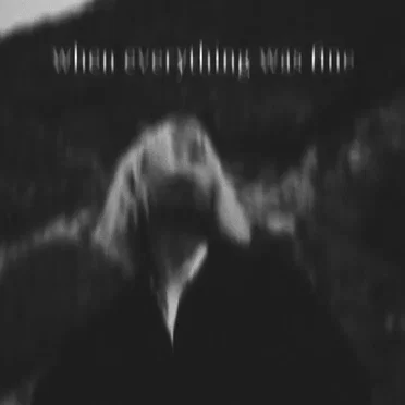 when everything was fine by dj ignorant - album cover