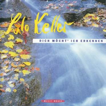 Dich möcht' ich erkennen by Lilo Keller - album cover