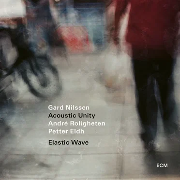 Elastic Wave by Gard Nilssen Acoustic Unity - album cover