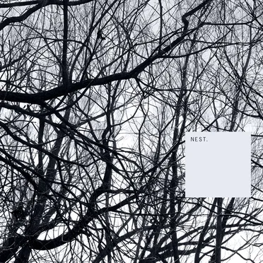 Nest.