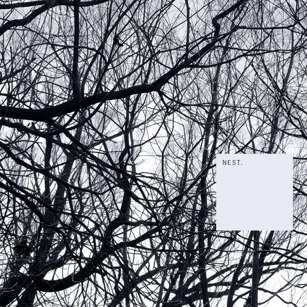 Nest.