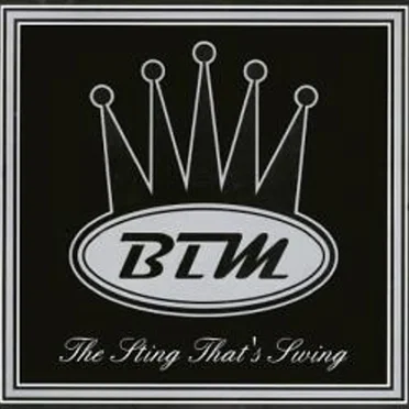 The Sting That's Swing by Big Tubba Mista - album cover