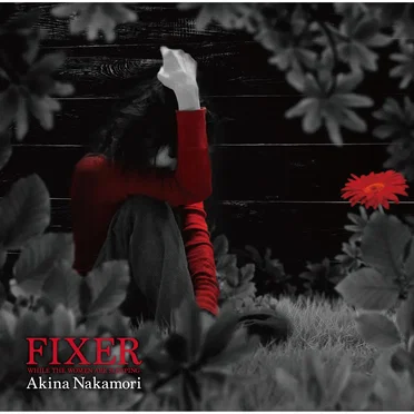 FIXER -WHILE THE WOMEN ARE SLEEPING-