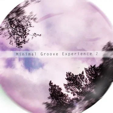 Minimal Groove Experience 2 by Various Artists - album cover