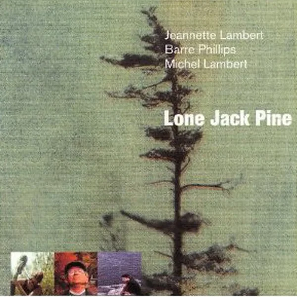 Lone Jack Pine