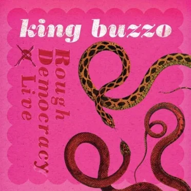 Rough Democracy Live