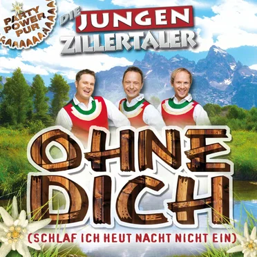 Ohne dich (schlaf ich heut Nacht nicht ein)