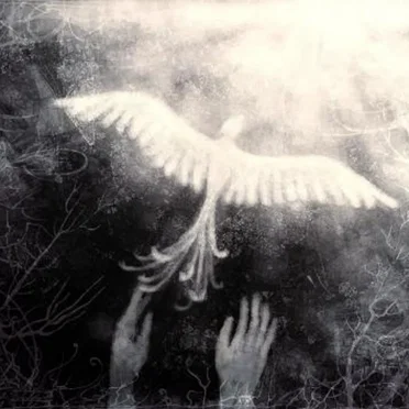 Rise From the Ashes