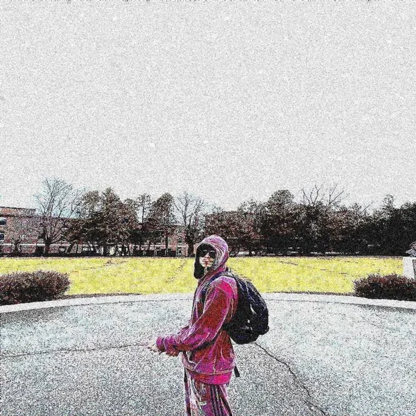 This Is Self Destruction