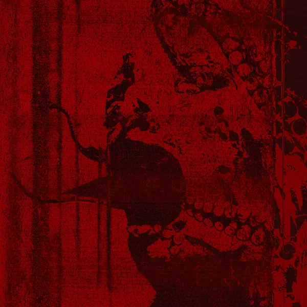 Rot Prophet
