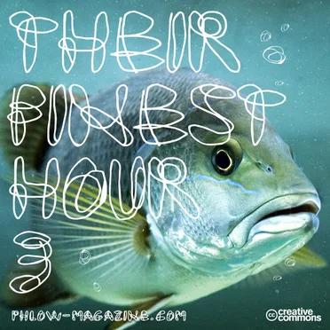 Their Finest Hour, Volume 3 by Various Artists - album cover
