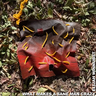 What Makes a Sane Man Crazy
