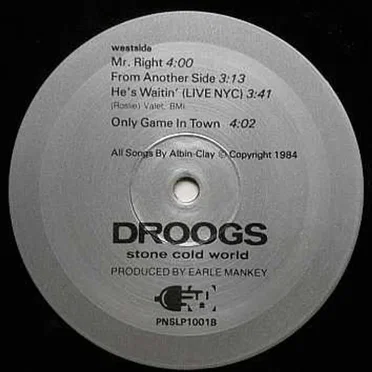Stone Cold World by Droogs - album cover