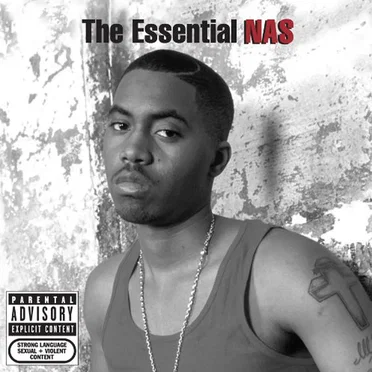 The Essential NAS