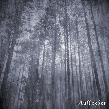 Forest of Disillusionment