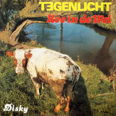 Tegenlicht