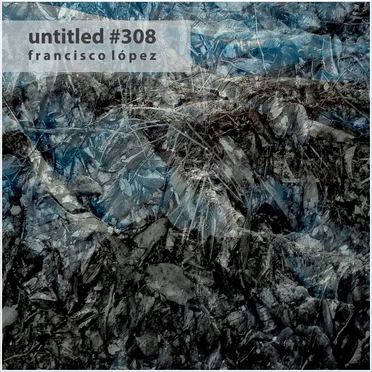 Untitled #308