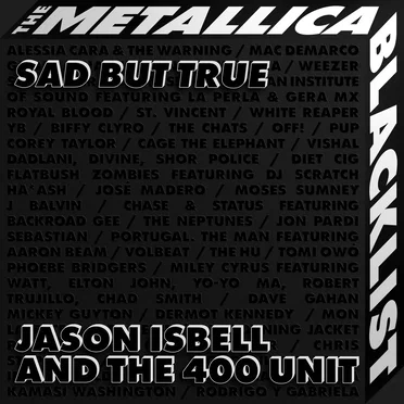 Sad but True by Jason Isbell and the 400 Unit - album cover