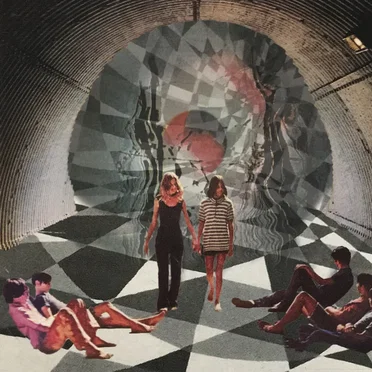 Parasom (excerpt) by ElonMusk - album cover