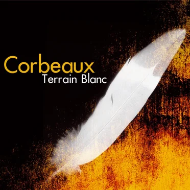 Terrain Blanc