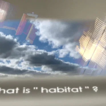 00000000000000000020