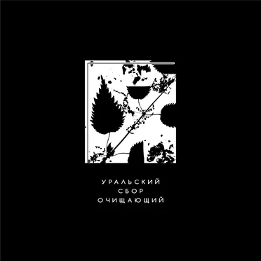 Уральский Сбор Очищающий by Various Artists - album cover