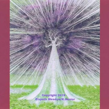 Elspeth Meadow by Elspeth Meadow - album cover