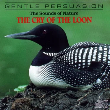 The Sounds of Nature: The Cry of the Loon