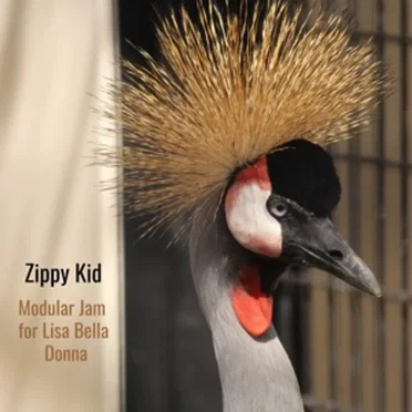 Modular Jam for Lisa Bella Donna